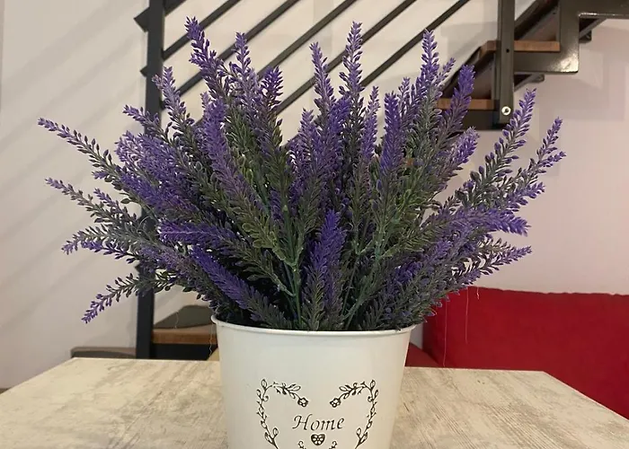 Casa Gioia * Giovinazzo